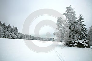 Cross country skiing. A cloudy, winter day in the meadows of the Stolowe Mountains National Park in Poland.