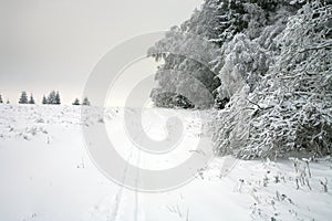 Cross country skiing. A cloudy, winter day in the meadows of the Stolowe Mountains National Park in Poland.