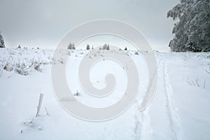 Cross country skiing. A cloudy, winter day in the meadows of the Stolowe Mountains National Park in Poland.