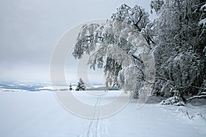 Cross country skiing. A cloudy, winter day in the meadows of the Stolowe Mountains National Park in Poland.