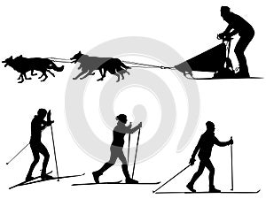 Cross country skiing and dog sledding Sport silhouettes