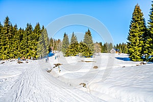 Cross-country skiing in Jizera Mountains