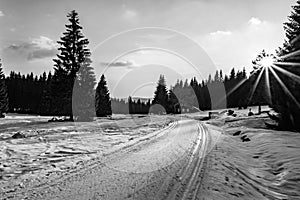 Cross-country skiing in Jizera Mountains