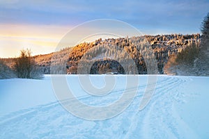 Cross country skiing. A magical start to a new day  in the meadows of the Stolowe Mountains National Park in Poland.