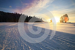 Cross country skiing. A magical start to a new day  in the meadows of the Stolowe Mountains National Park in Poland.