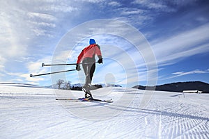 Cross-country skiing photo