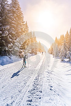 Cross-country skiing in nature