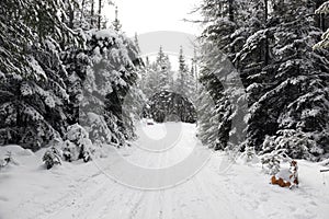 Cross-country skiing route