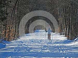 Cross country skiing Schug Trail Dryden LAke