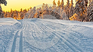 Cross country skiing slope running through a snow covered frozen forest at dusk