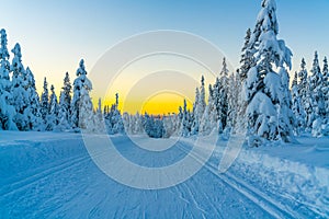 Cross country skiing slope running through a snow covered frozen forest at dusk