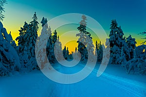 Cross country skiing slope running through a snow covered frozen forest at dusk