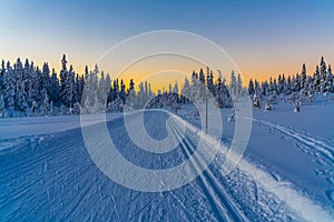 Cross country skiing slope running through a snow covered frozen forest at dusk