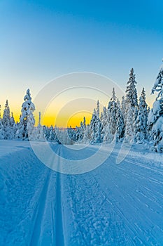 Cross country skiing slope running through a snow covered frozen forest at dusk