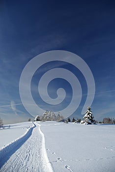 Cross-country skiing in Slovak mountains