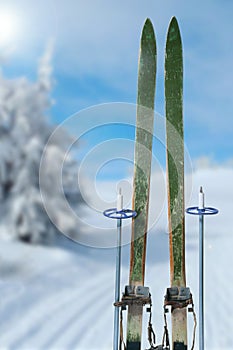 Cross country skiing on a sunny winter day