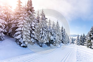 Cross country skiing track