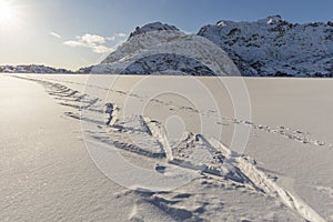 Cross country skiing track in fresh winter snow on frozen lake