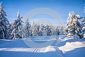 Cross country skiing track on sunny winter day