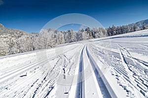 Cross-country skiing track in winter landscape