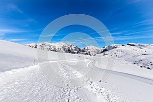 Cross-country Skiing Tracks on Lessinia Plateau and the Carega Mountain Range