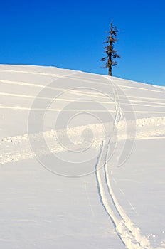 Cross-country-skiing tracks in the snow