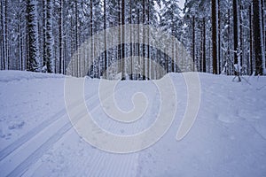 Cross country skiing tracks through snowy forest. Salpausselka, Lahti, Finland