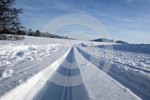 The cross-country skiing trail