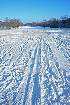 Cross-country skiing trail in the city park