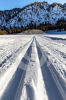 Cross-country skiing trail at frozen lake Loedensee