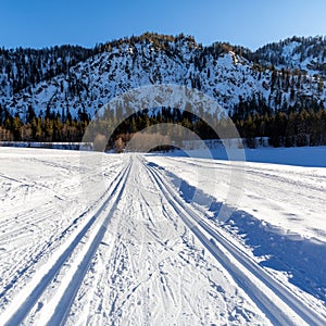 Cross-country skiing trail at frozen lake Loedensee photo