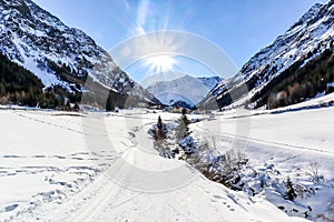 Cross-country skiing trail through the Pitztal near Sankt Leonhard in Tirol, winter sports in snowy landscape in the Austrian Alps