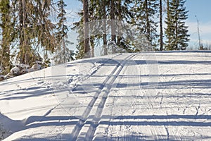 Cross country skiing trail