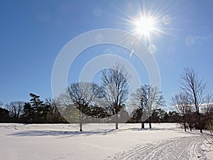 Cross country skiing trail under the sun through a park in the snow