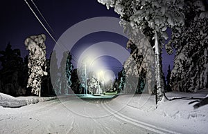 Cross country skiing trails through the forest at night