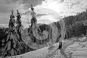 Bežecké lyžovanie Veľká Fatra, región Turiec, Slovensko