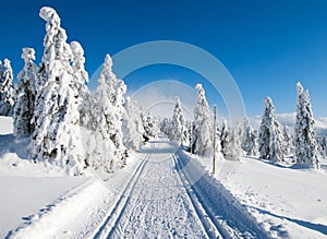 Cross country skiing way