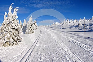 Cross country skiing way