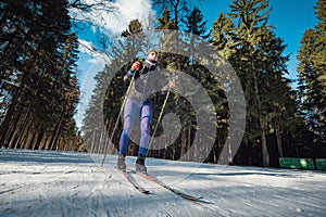 Cross-country skiing woman doing classic nordic cross country skiing in trail tracks in snow covered forest