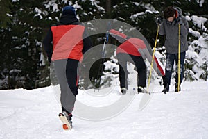 Cross-country skiing: young man cross-country skiing on a lovely sunny winter day