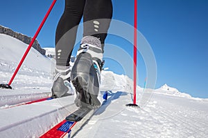 Cross-country skiing: young woman cross-country skiing