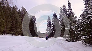 Cross-country skiing: young woman cross-country skiing