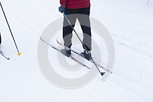 Cross country skilling.Skiers are skiing in the winter forest