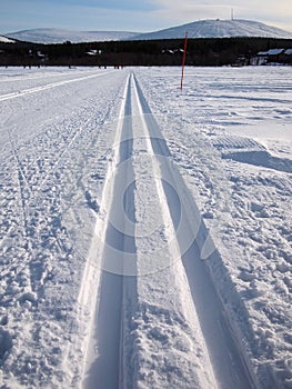 Cross-country tracks in fresh snow