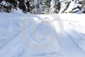 cross-country trail in a snowy winter forest