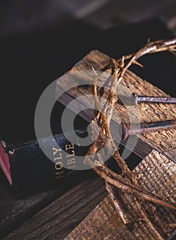 Cross and Crown of Thorns With Holy Bible