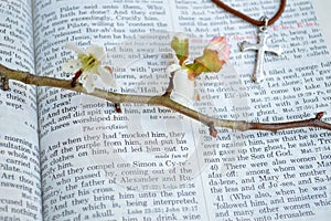 Cross and crucifixion scripture background