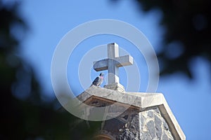 Cross and dove, Church of the Primacy of St Peter, Tabgha, Israel