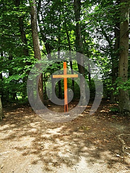 Cross in the forest. Conceptual image for faith, spirituality and religion