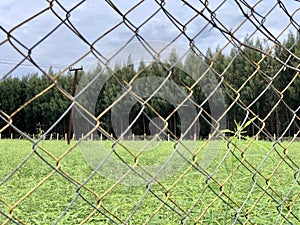 Cross link metallic wire fence with beautiful scenic background. Fence on green grass